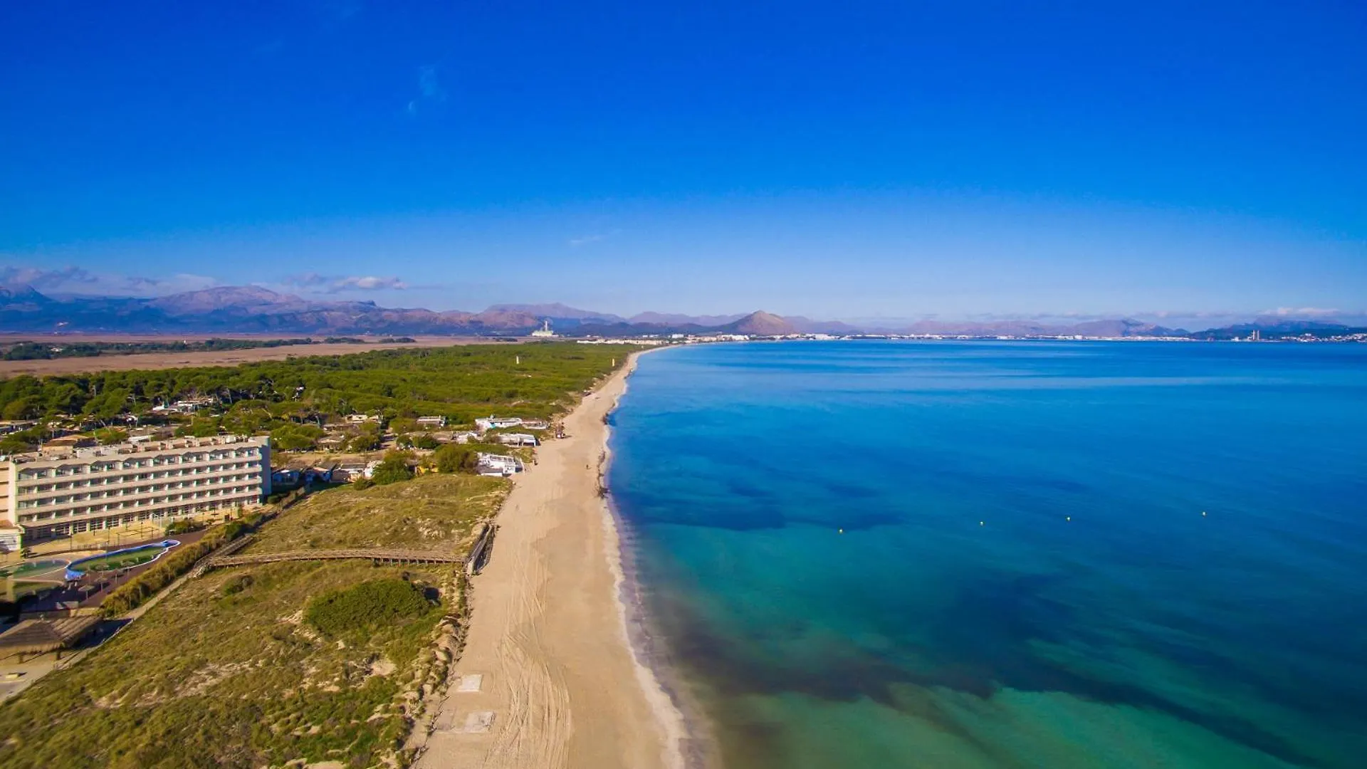 Ideal Property Mallorca - Angelo 캔 피카폴트